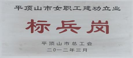 平頂山市女職工建功立業(yè)標(biāo)兵崗