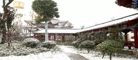 賈湖酒業(yè)雪景如畫（六）