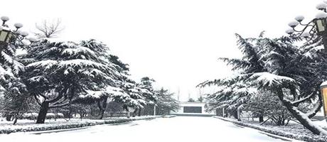 賈湖酒業(yè)雪景如畫（九）